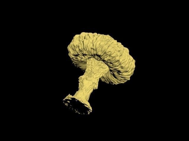 Atomic bomb mushroom cloud 3D print model_22