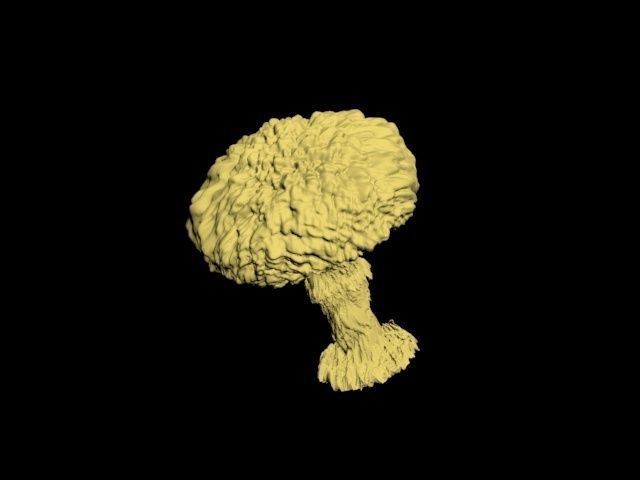 Atomic bomb mushroom cloud 3D print model_38