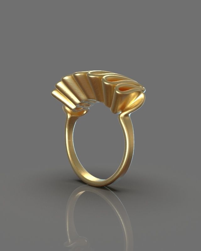 Folded ring 3D print model_11