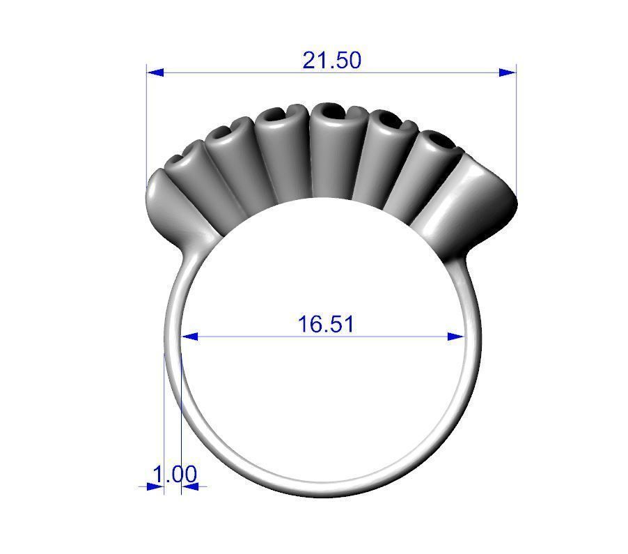 Folded ring 3D print model_13