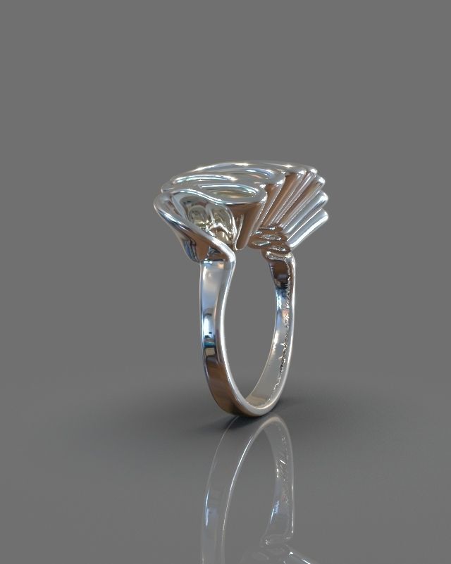 Folded ring 3D print model_2