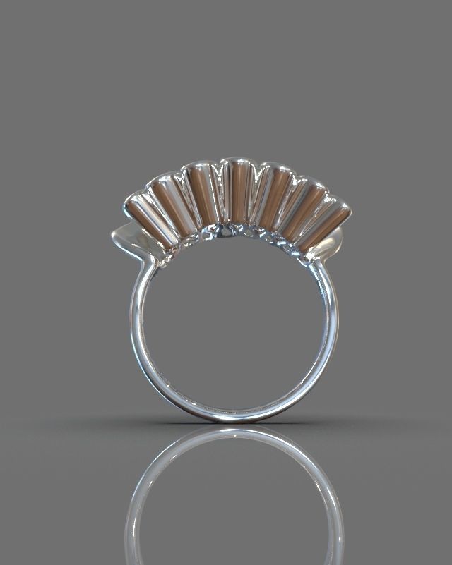Folded ring 3D print model_3