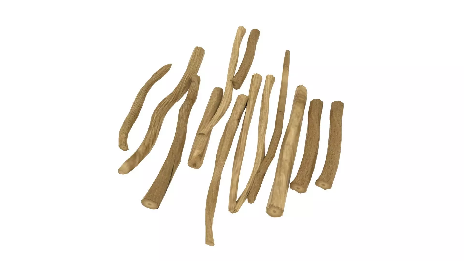 Shatavari Root Asparagus racemosus  3D model_0