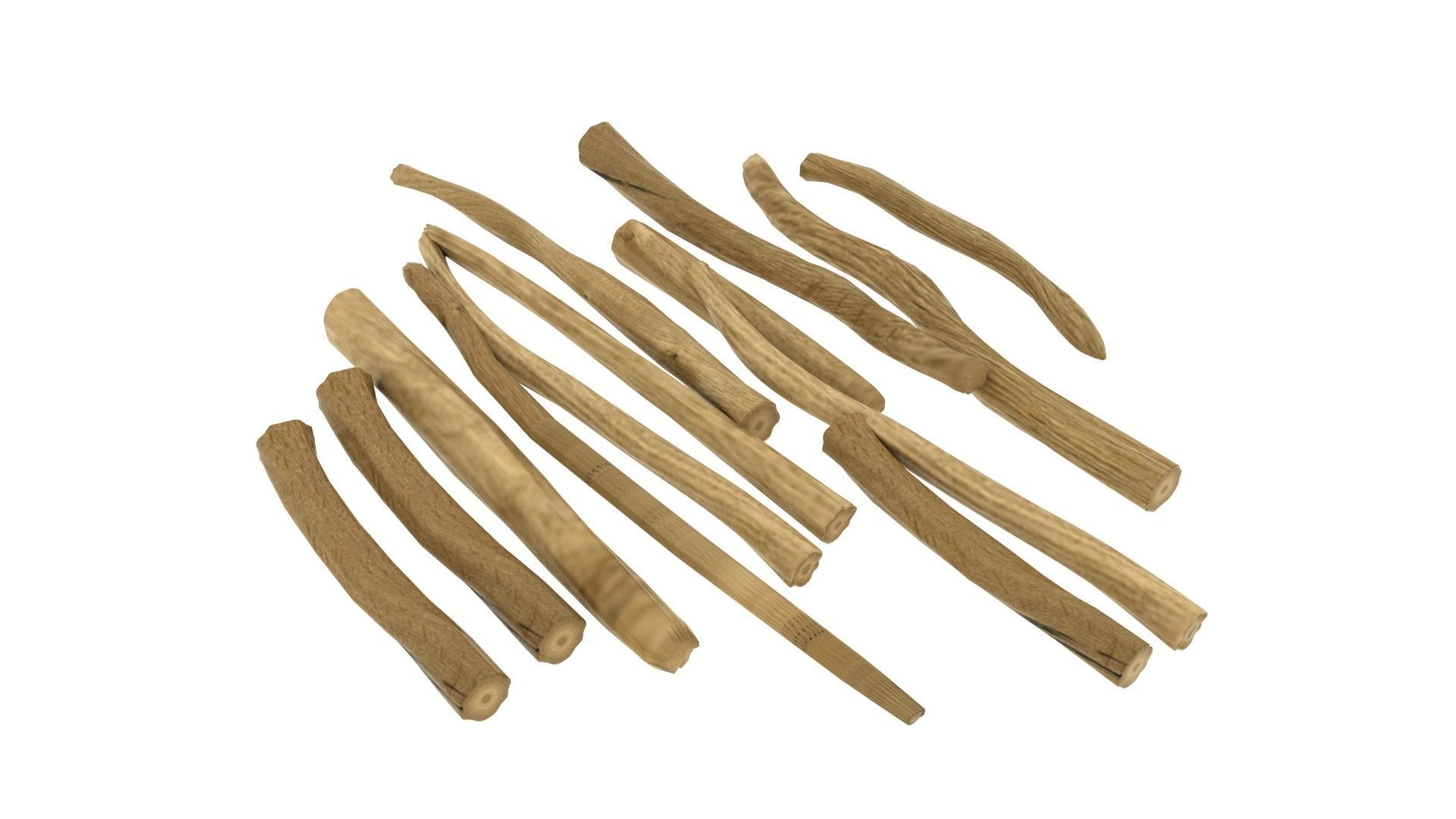 Shatavari Root Asparagus racemosus  3D model_3