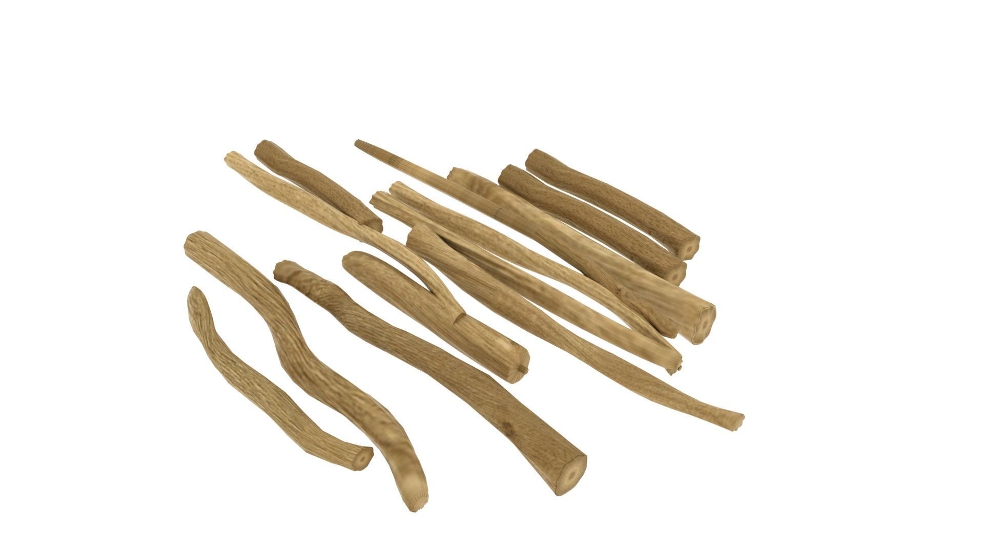 Shatavari Root Asparagus racemosus  3D model_1