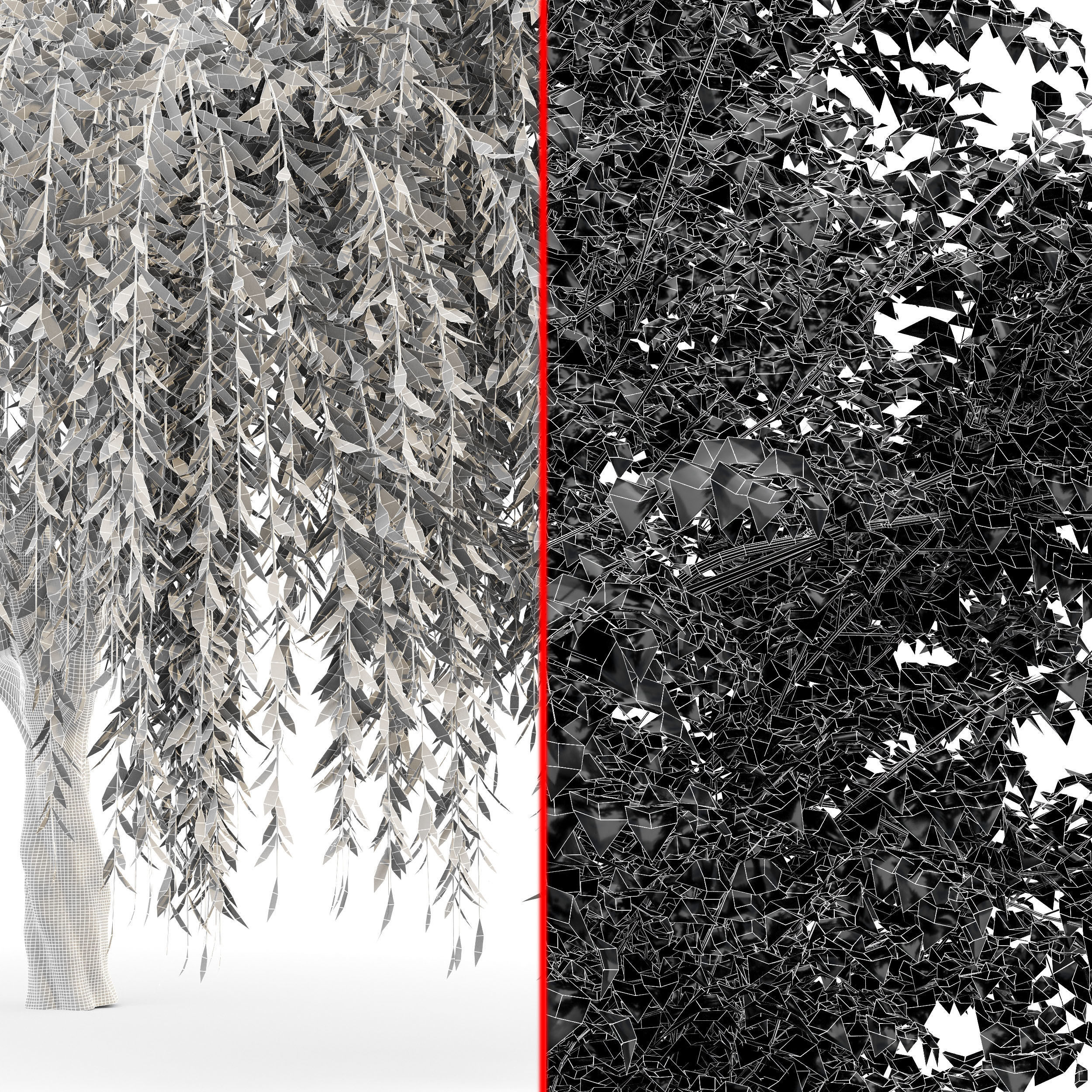Weeping willow and European Beech Trees 3D model_7