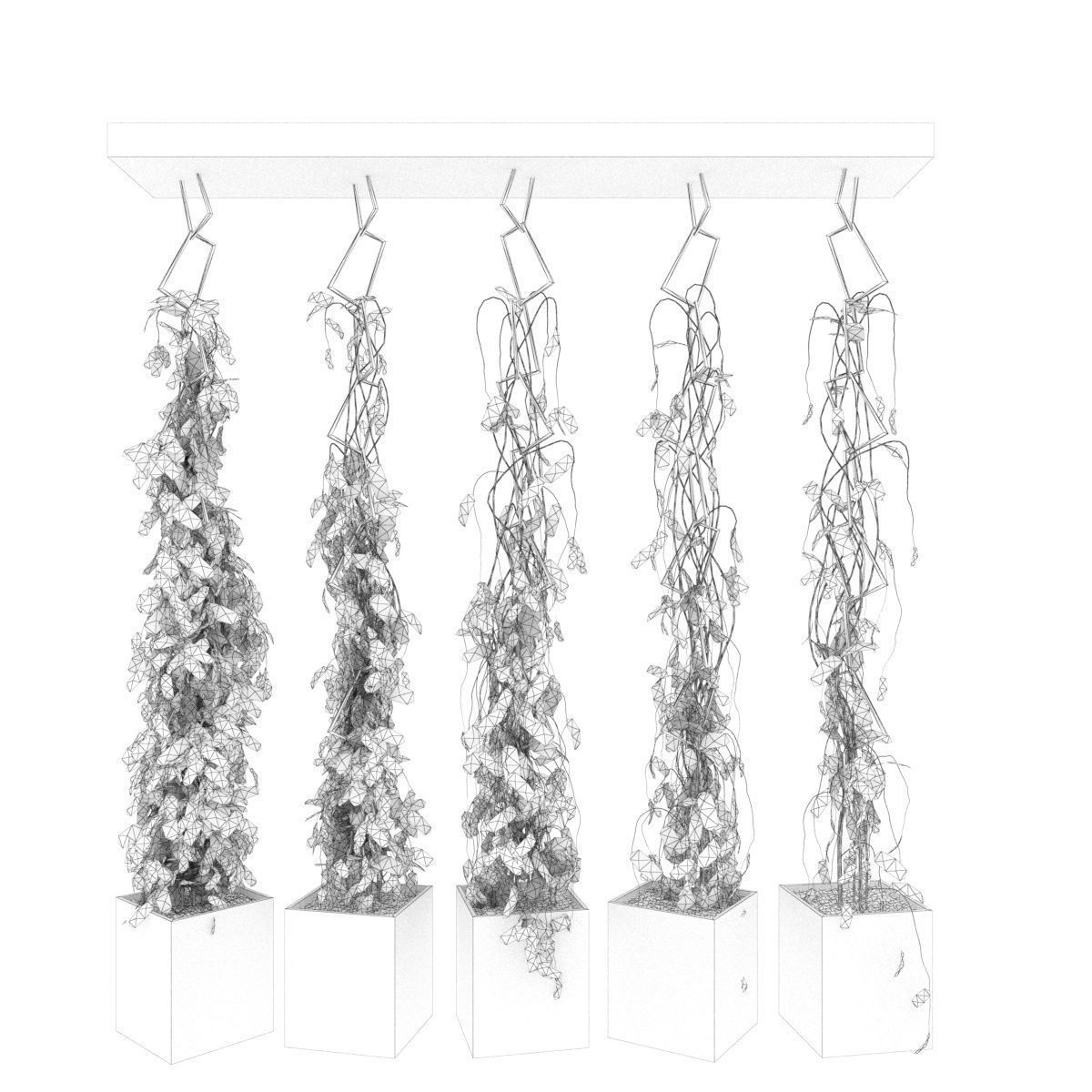 Collection plant vol 314 - indoor - ivy - ampelous - leaf 3D model_4