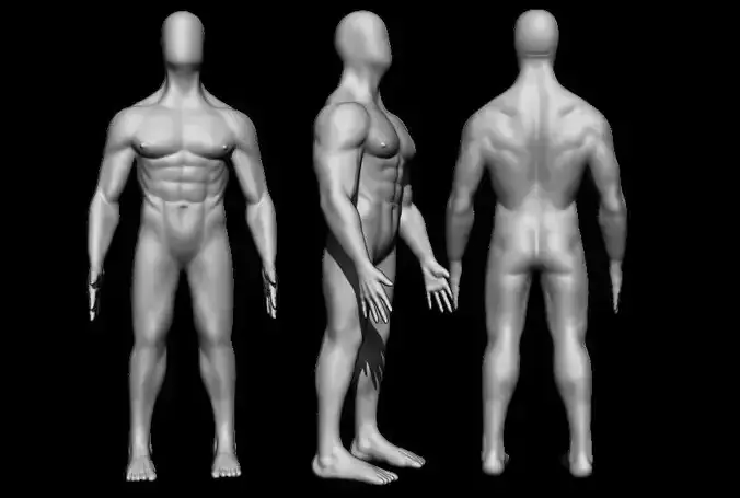 Human model male mannequin