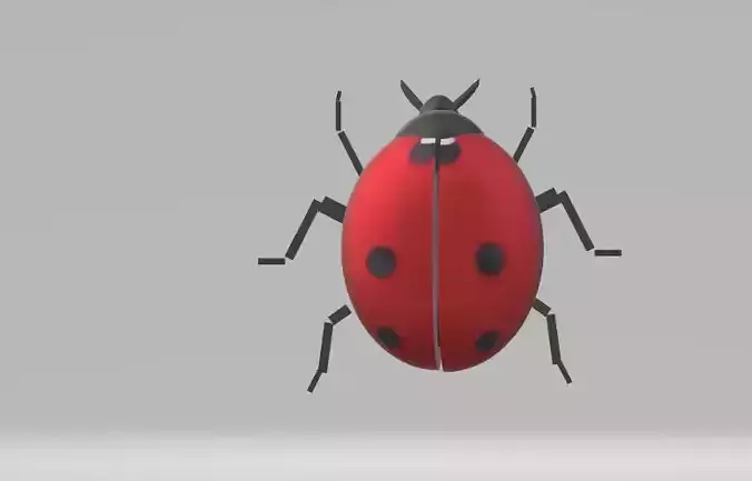 Two models of ladybugs