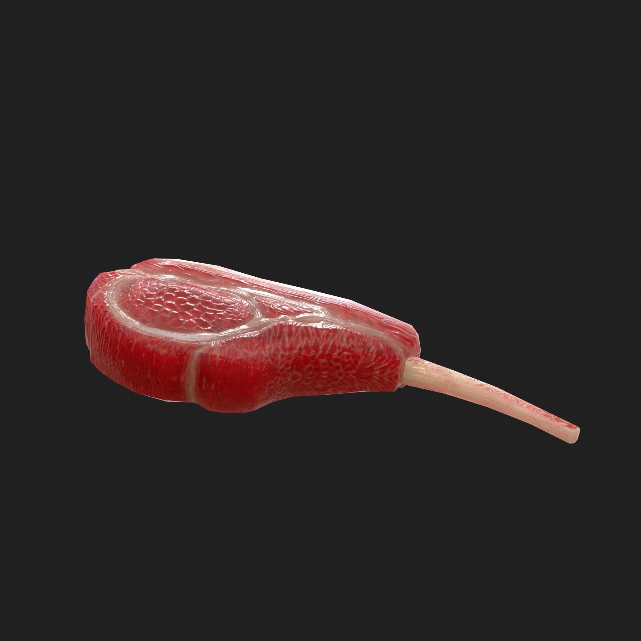 Meat 14 Piece Set - Steak Sausage Rib Fish Chicken Low-poly 3D model_17