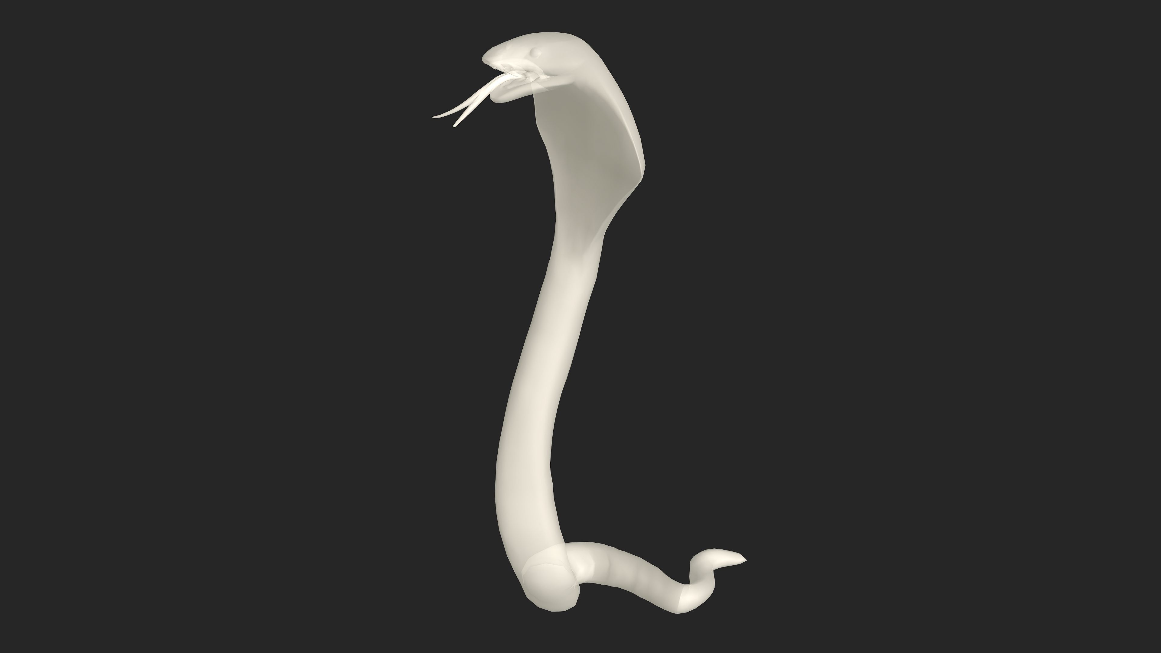 Snake with Animation Low-poly 3D model_21