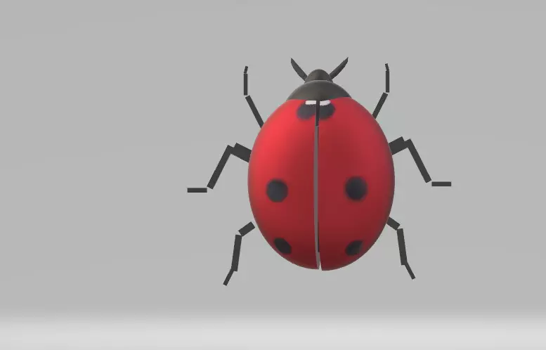 Ladybug in 2 styles Low-poly 3D model
