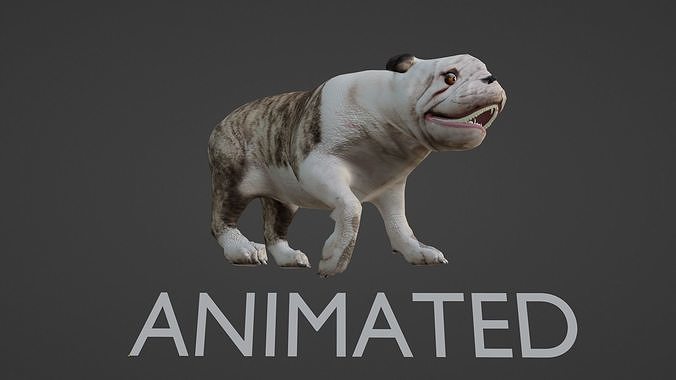 BULLDOG ANIMATED Low-poly 3D model