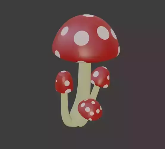 Mushrooms mushroom