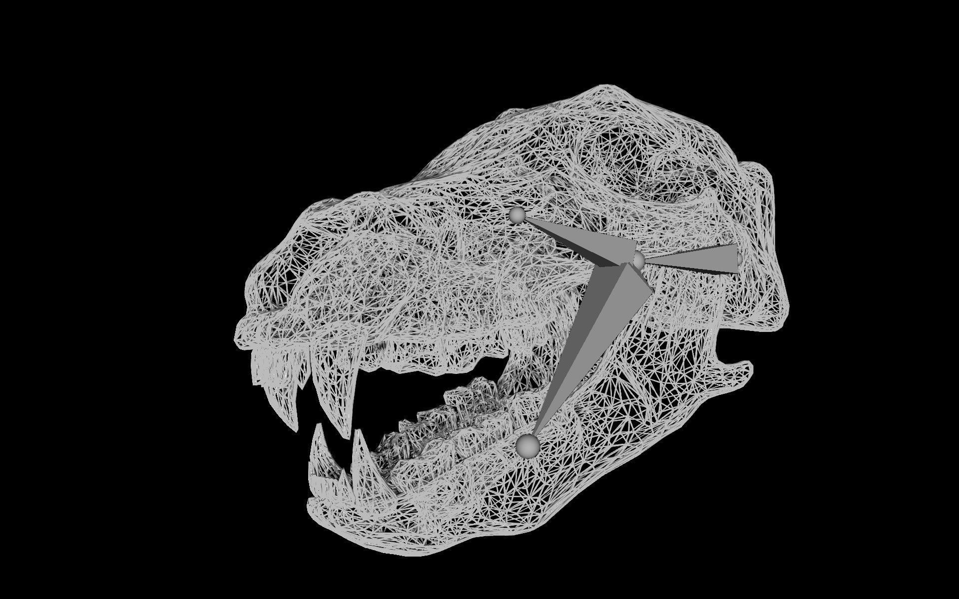 Bear Skull Low-poly 3D model_8