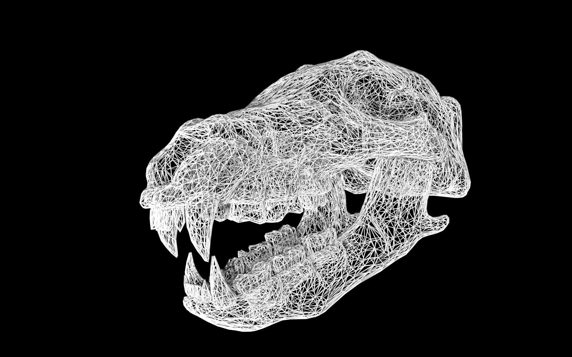 Bear Skull Low-poly 3D model_10