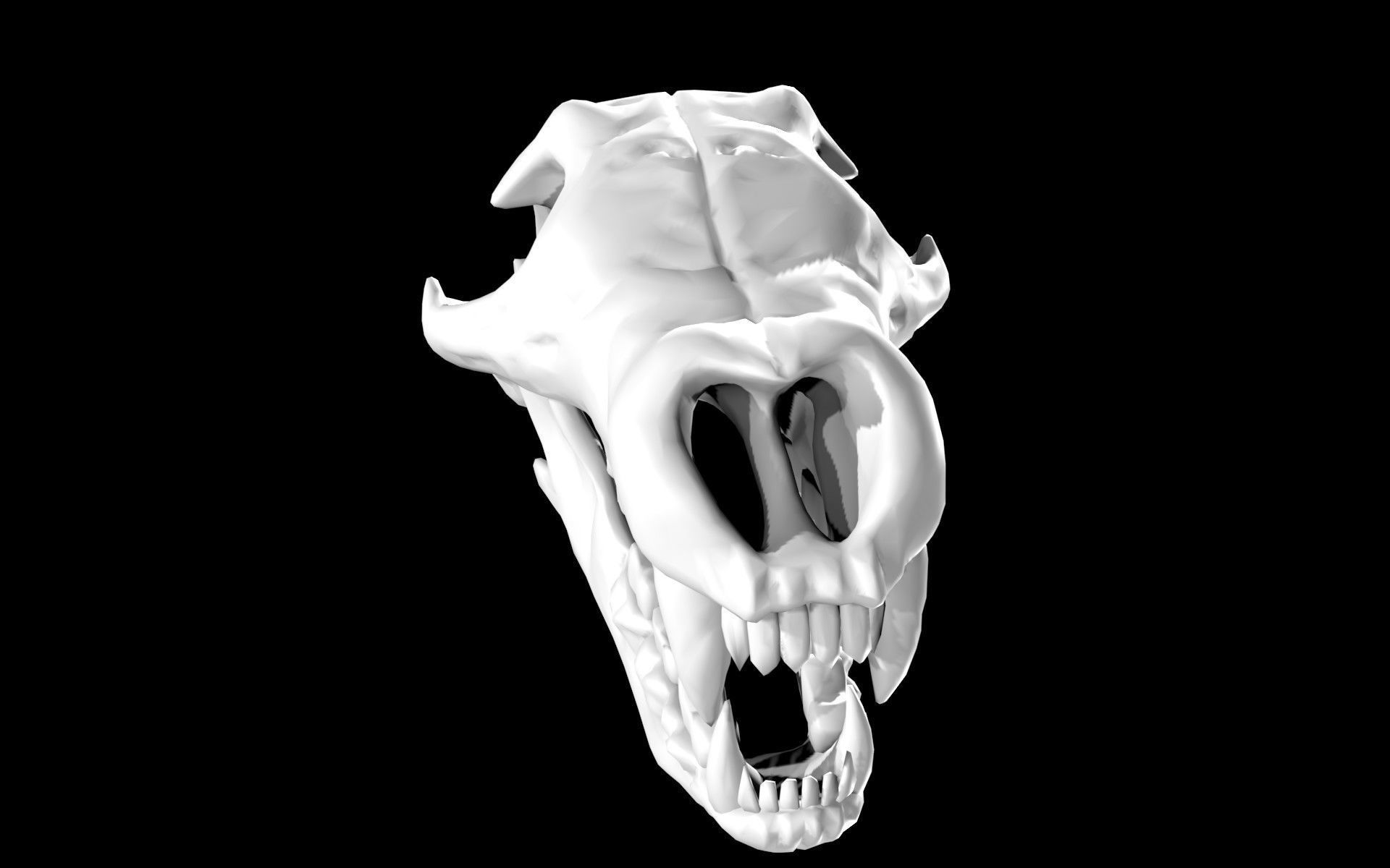 Bear Skull Low-poly 3D model_6