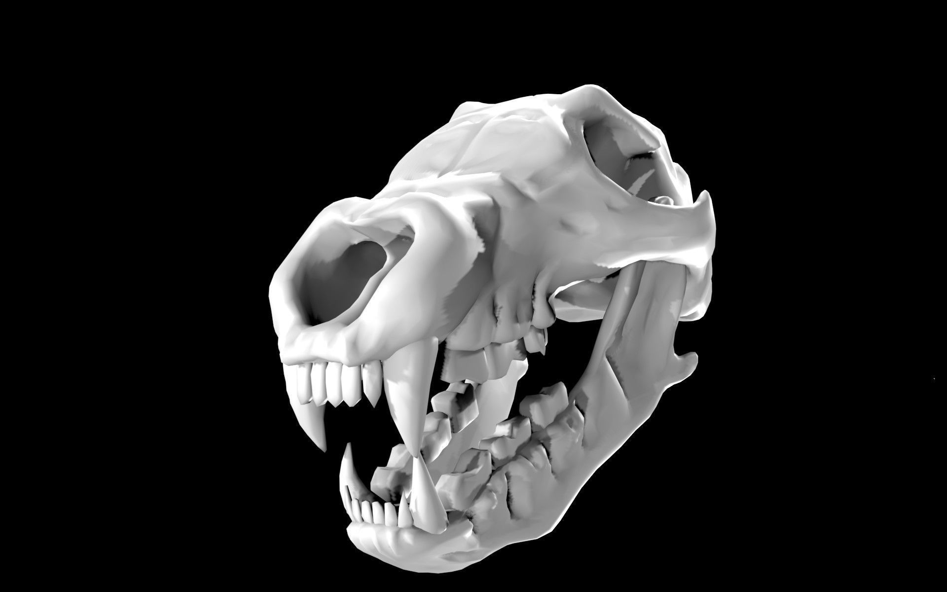 Bear Skull Low-poly 3D model_2