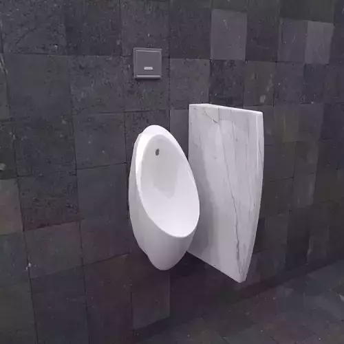 Urinal 4