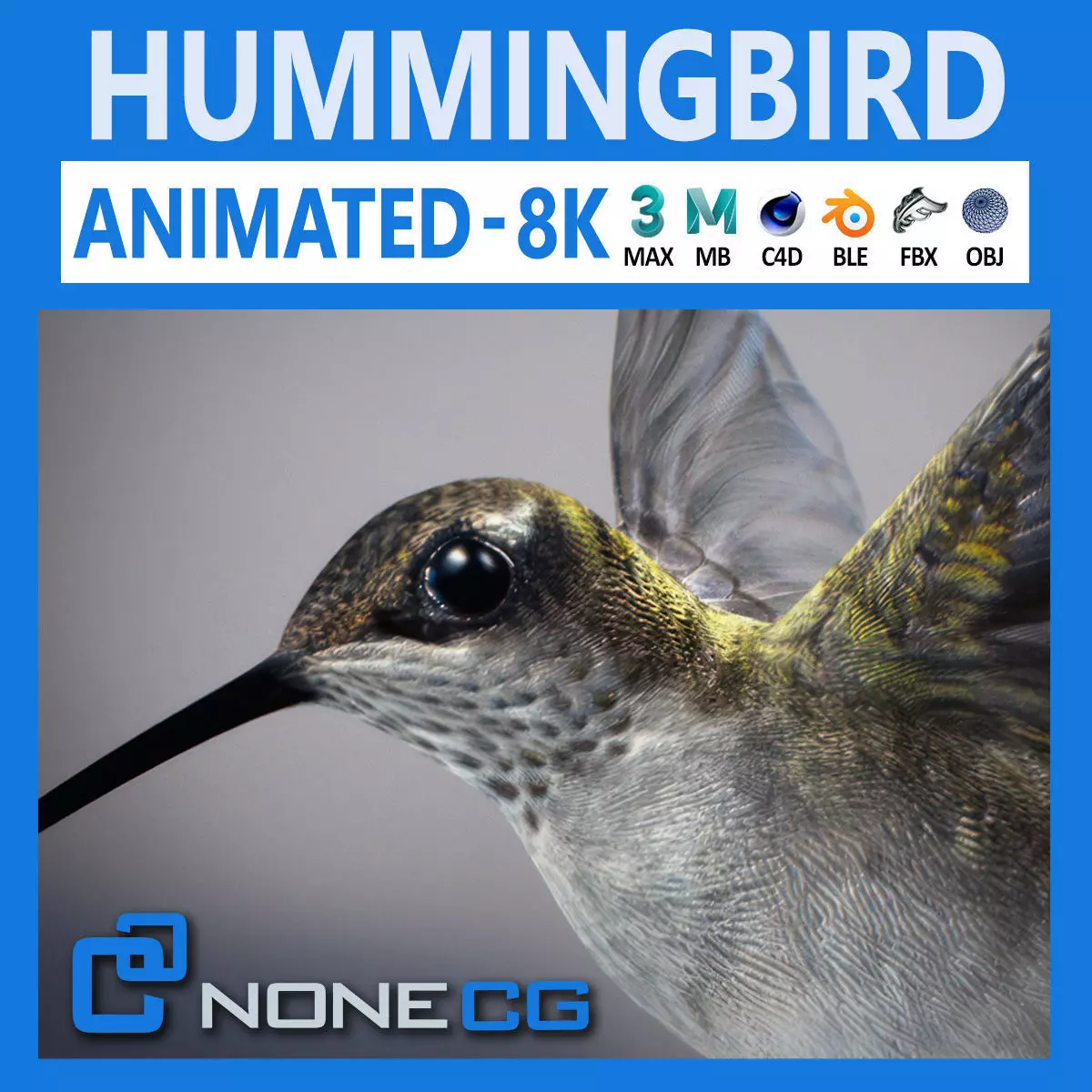 Animated Hummingbird Low-poly 3D model_0
