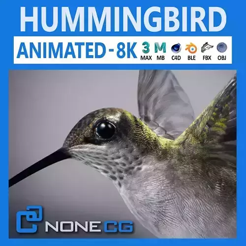 Animated Hummingbird Low-poly 3D model