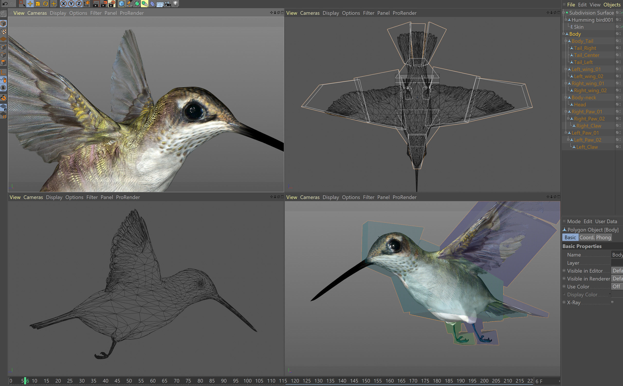 Animated Hummingbird Low-poly 3D model_9