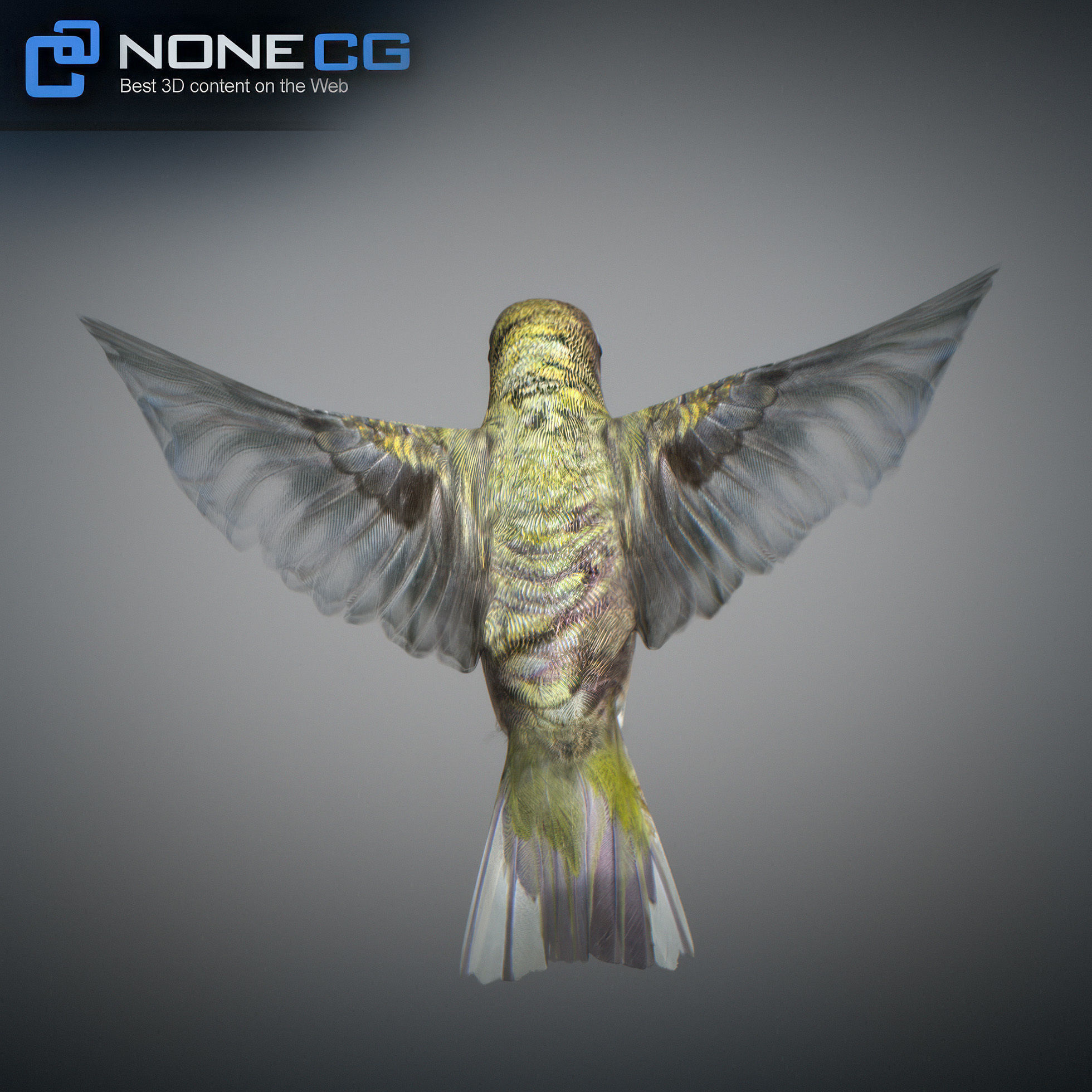 Animated Hummingbird Low-poly 3D model_14