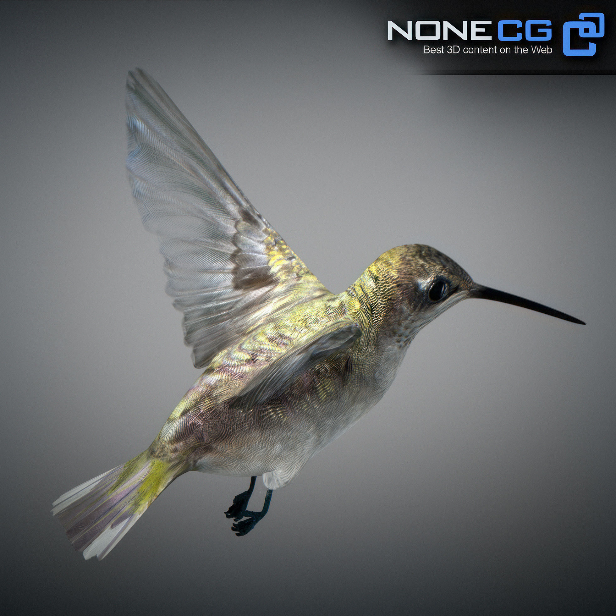Animated Hummingbird Low-poly 3D model_24