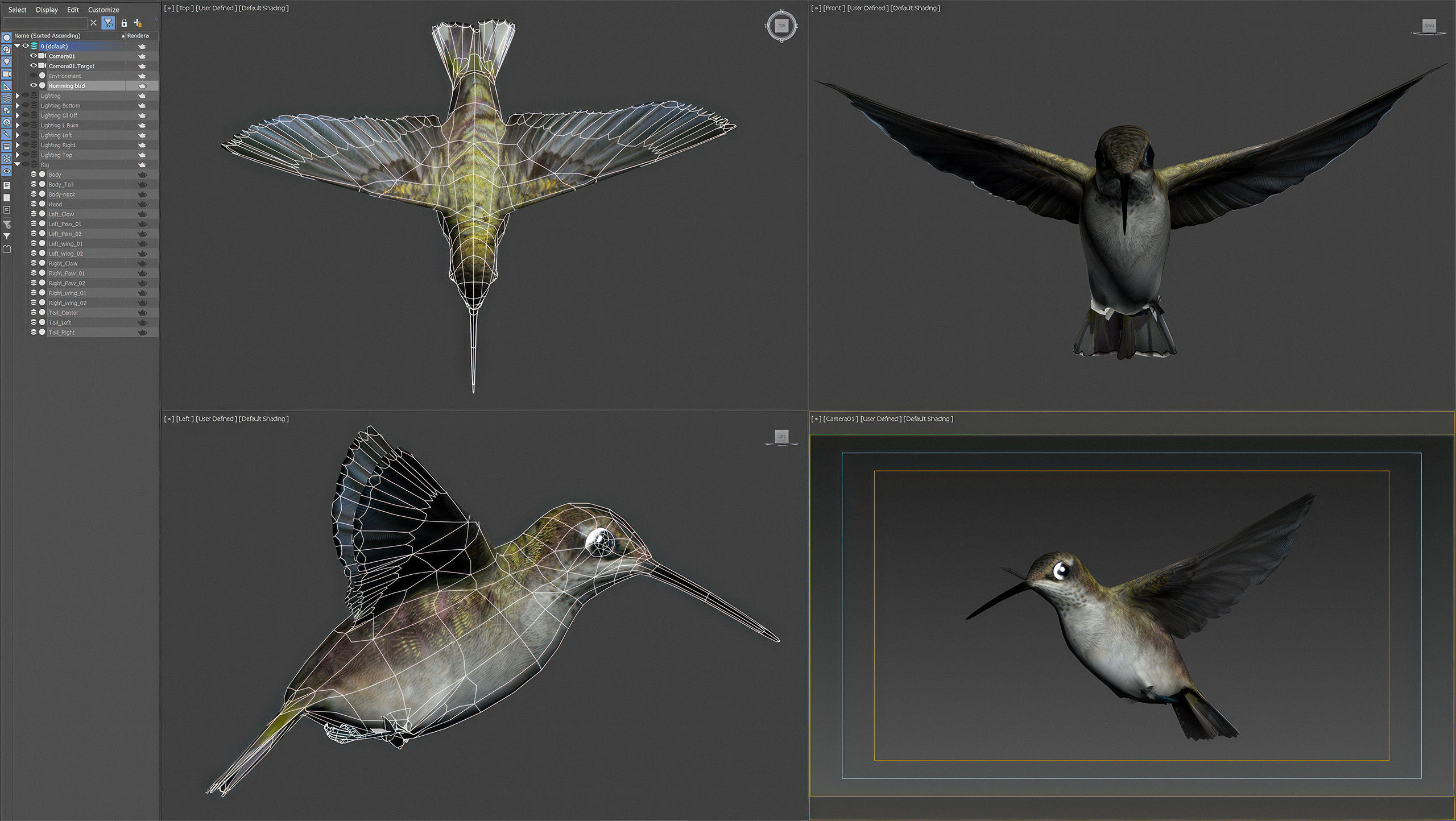 Animated Hummingbird Low-poly 3D model_6