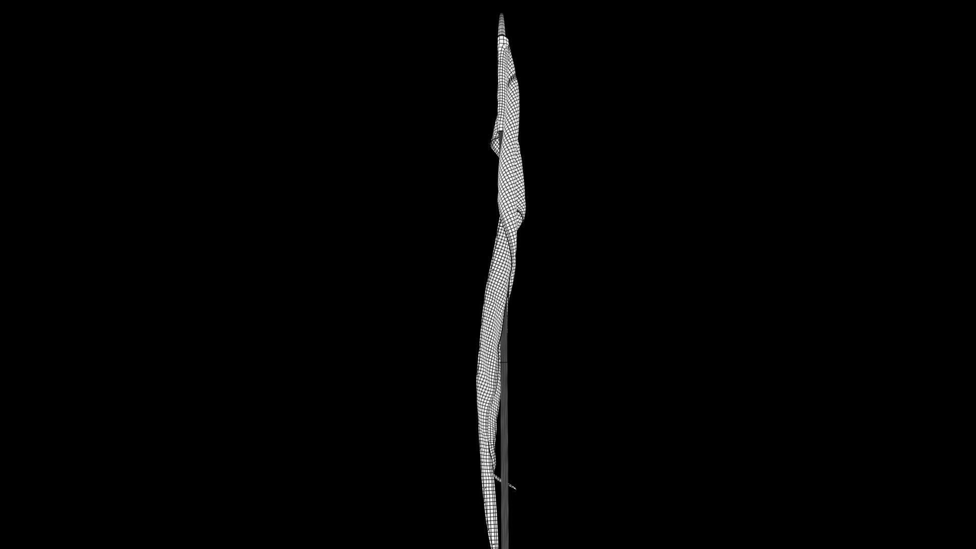 Waving flag Low-poly 3D model_8