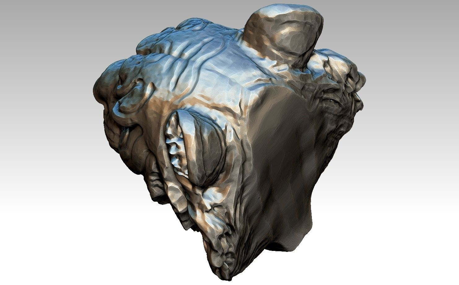 High detailed Tiger head  3D print model_3