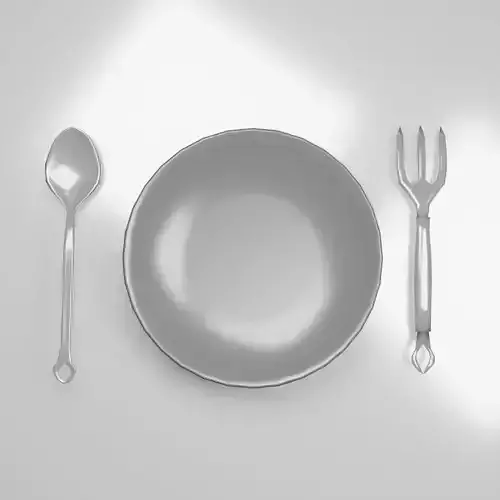 Silver Plate With Spoon x Pork