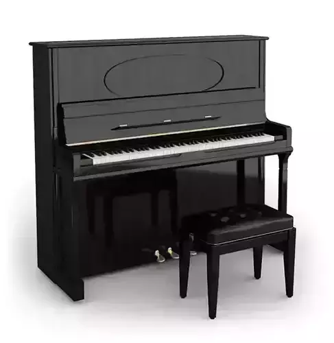 Musical Instrument Piano