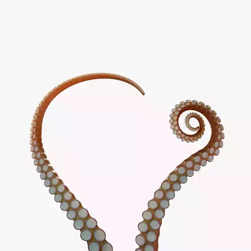 Tentacle Long Low-poly 3D model