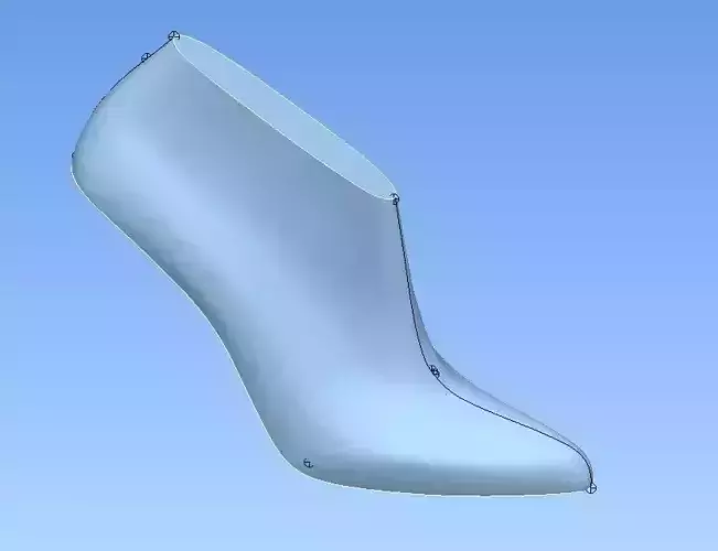 Court high heel shoe last