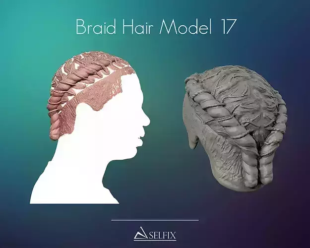 Braid Hairstyle 17