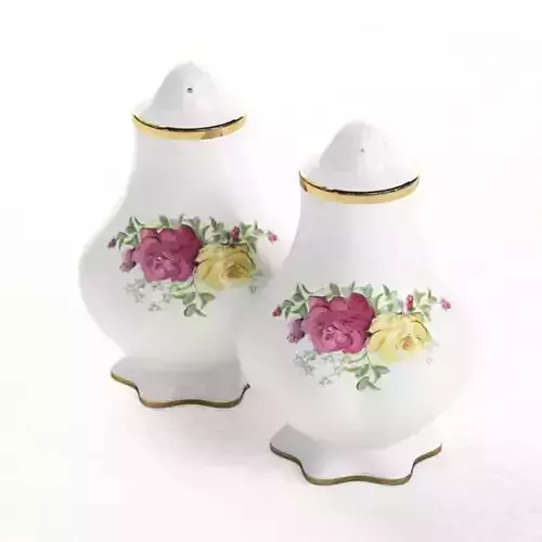 Salt Pepper Shakers