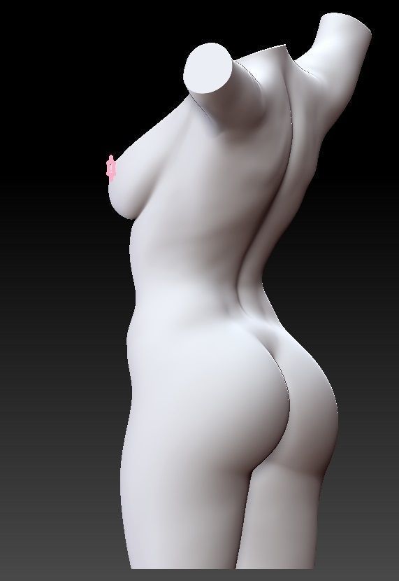 SEXY BODY PART TORSO 3D print model_3
