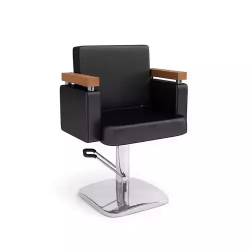 Beauty Parlor Chair