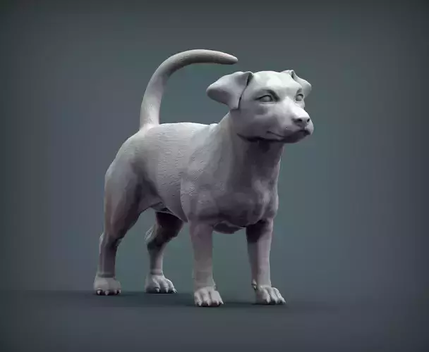 Jack Russell Terrier 3D print model