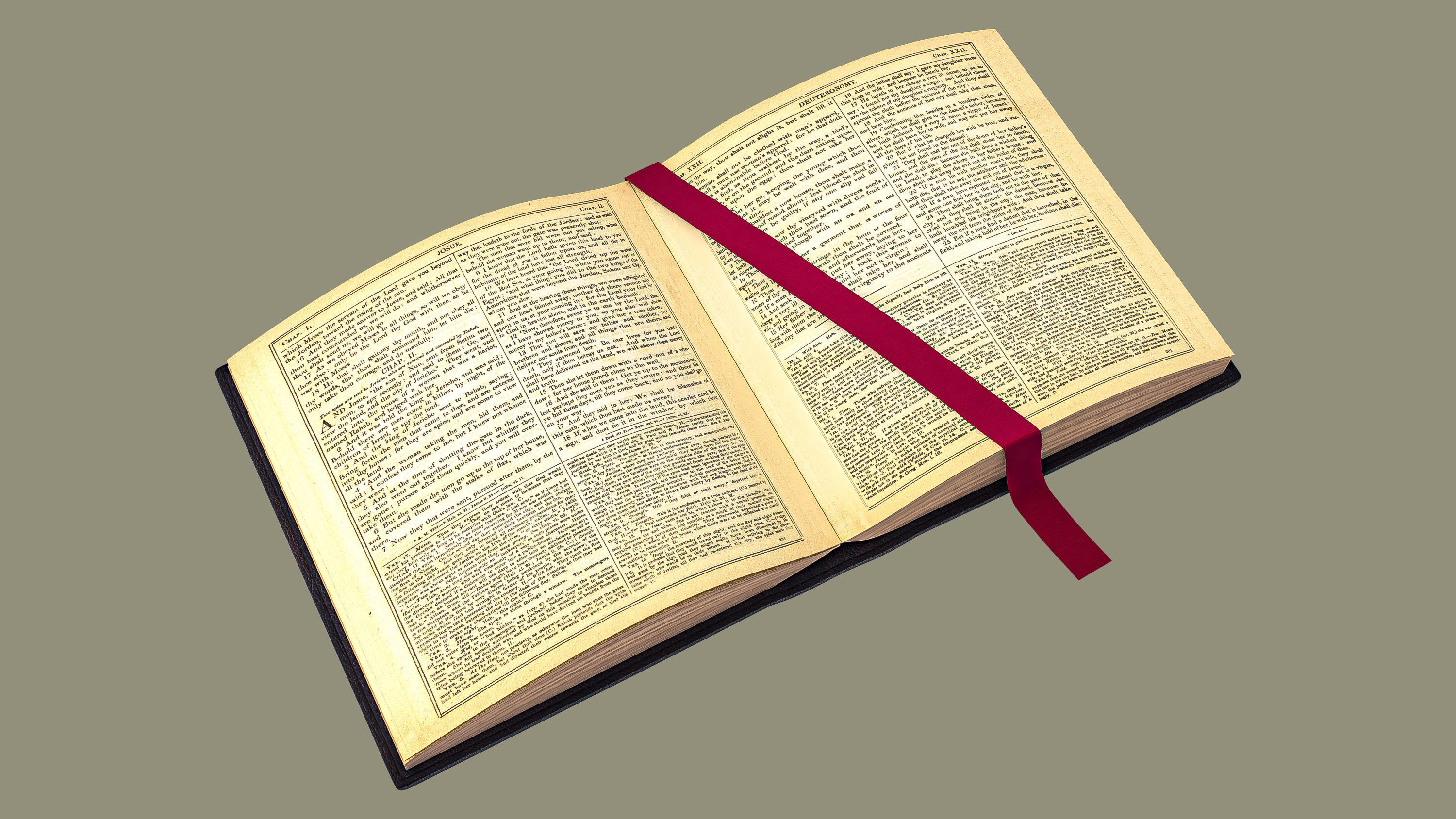 HolyBible with open book animation 3D model_2