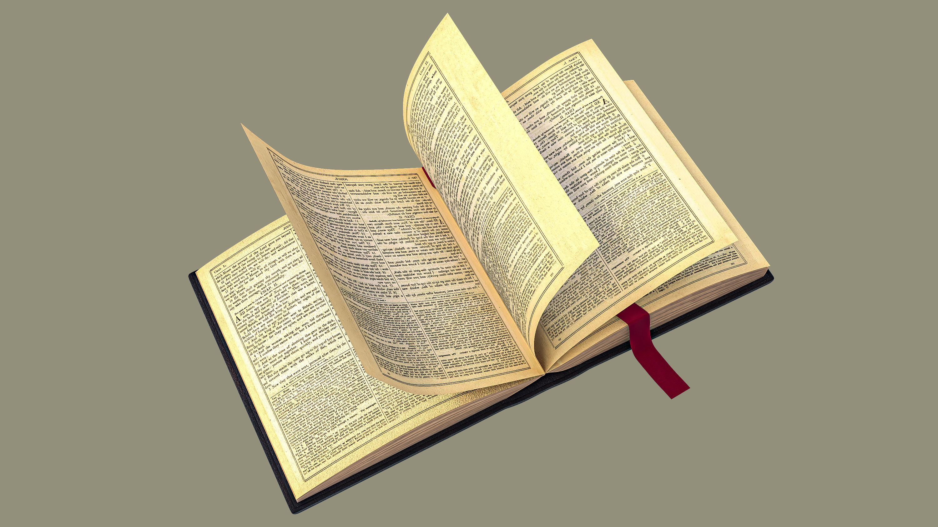 HolyBible with open book animation 3D model_1