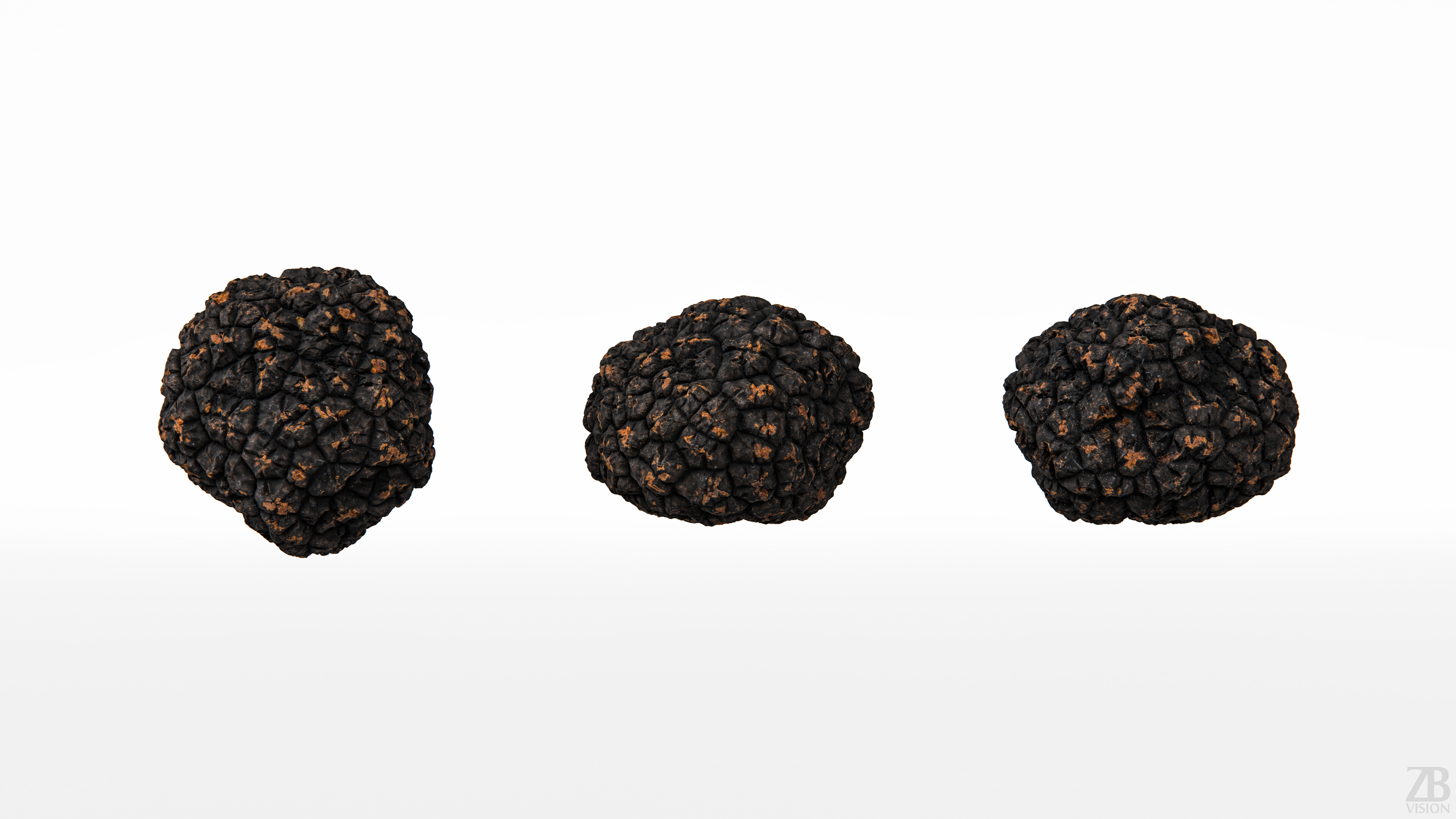 Truffle 3D model_4