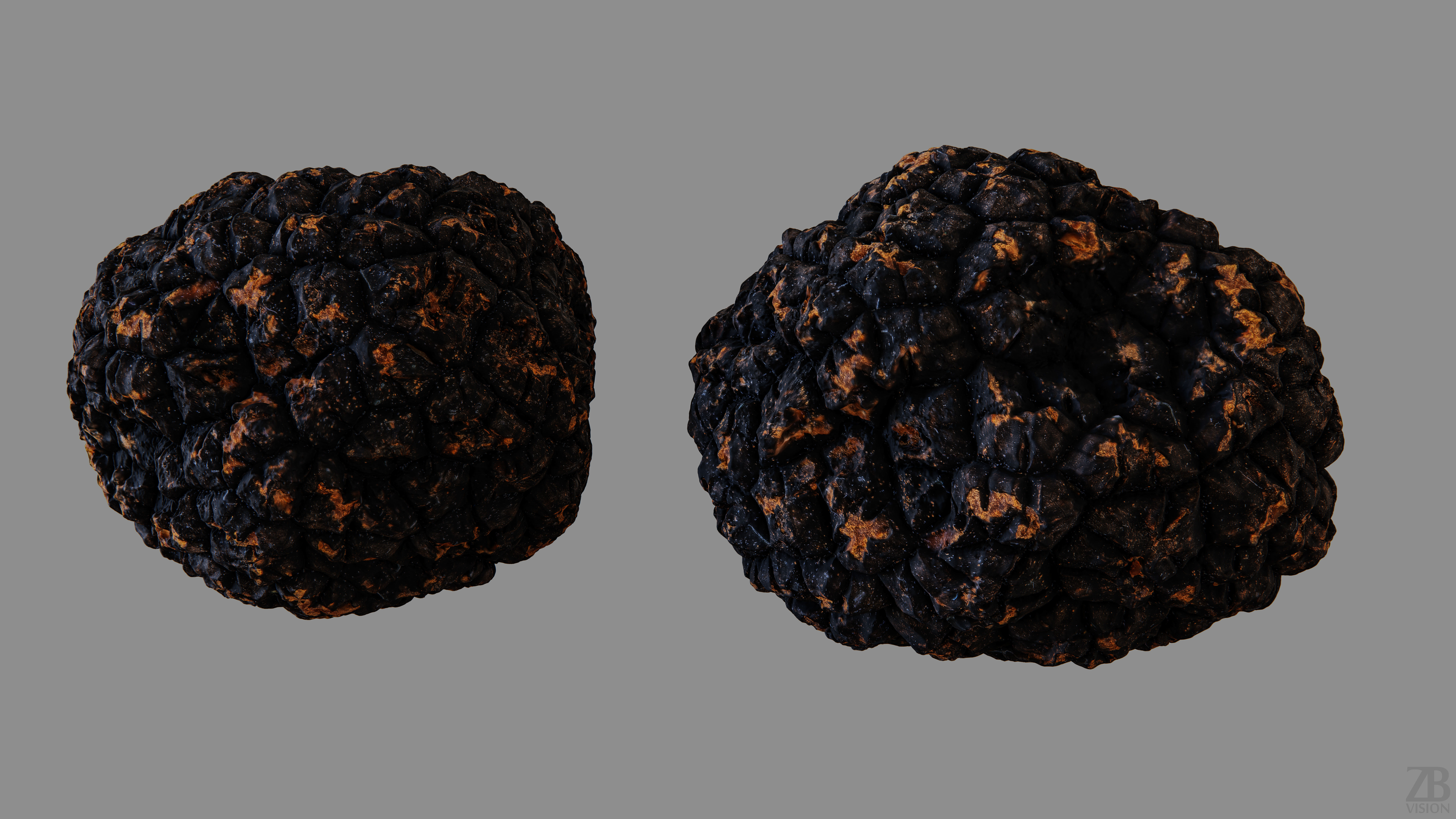 Truffle 3D model_12