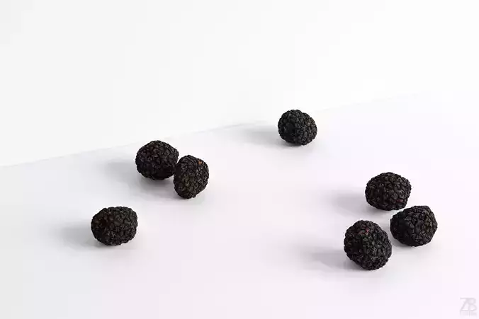 Truffle 3D model