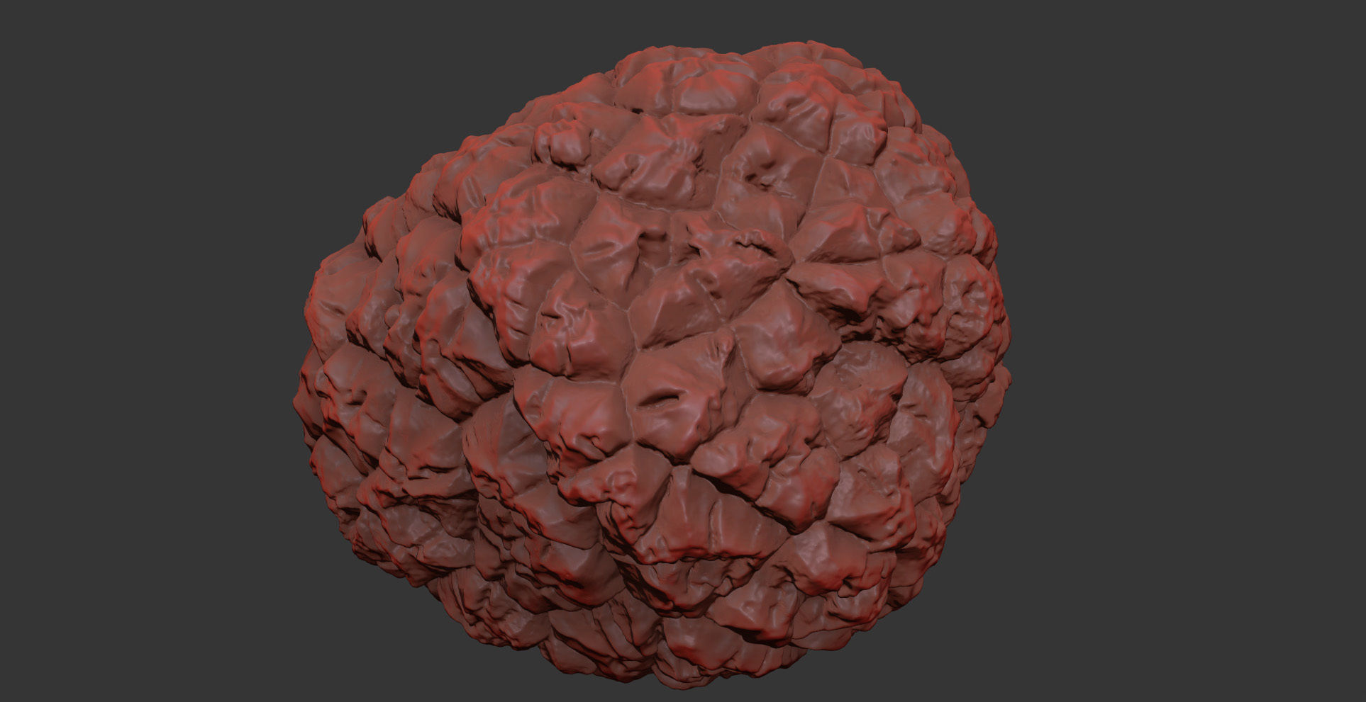 Truffle 3D model_10
