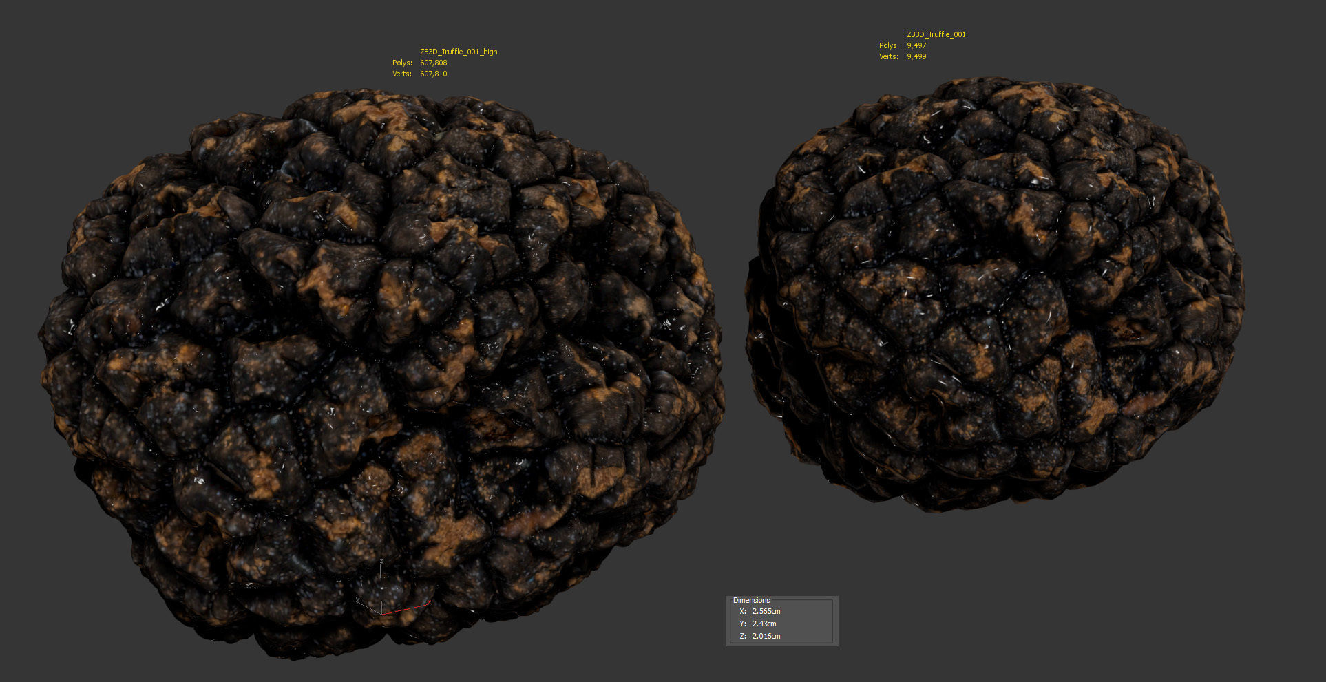 Truffle 3D model_8
