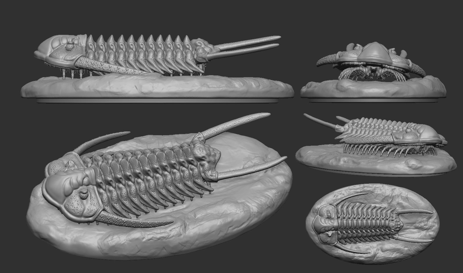 Cheirurus person holding clay trilobite 3D print model_7