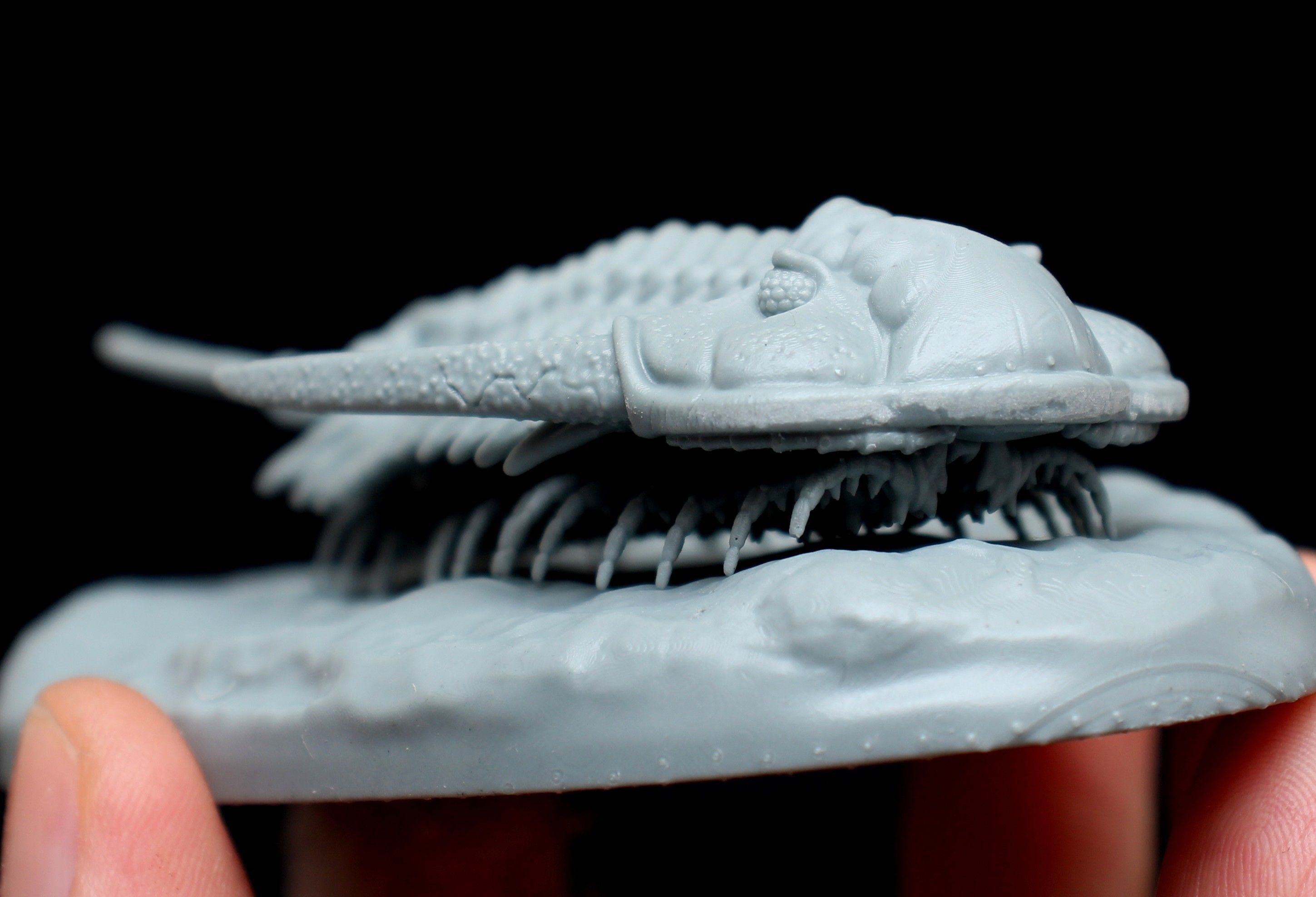 Cheirurus person holding clay trilobite 3D print model_4