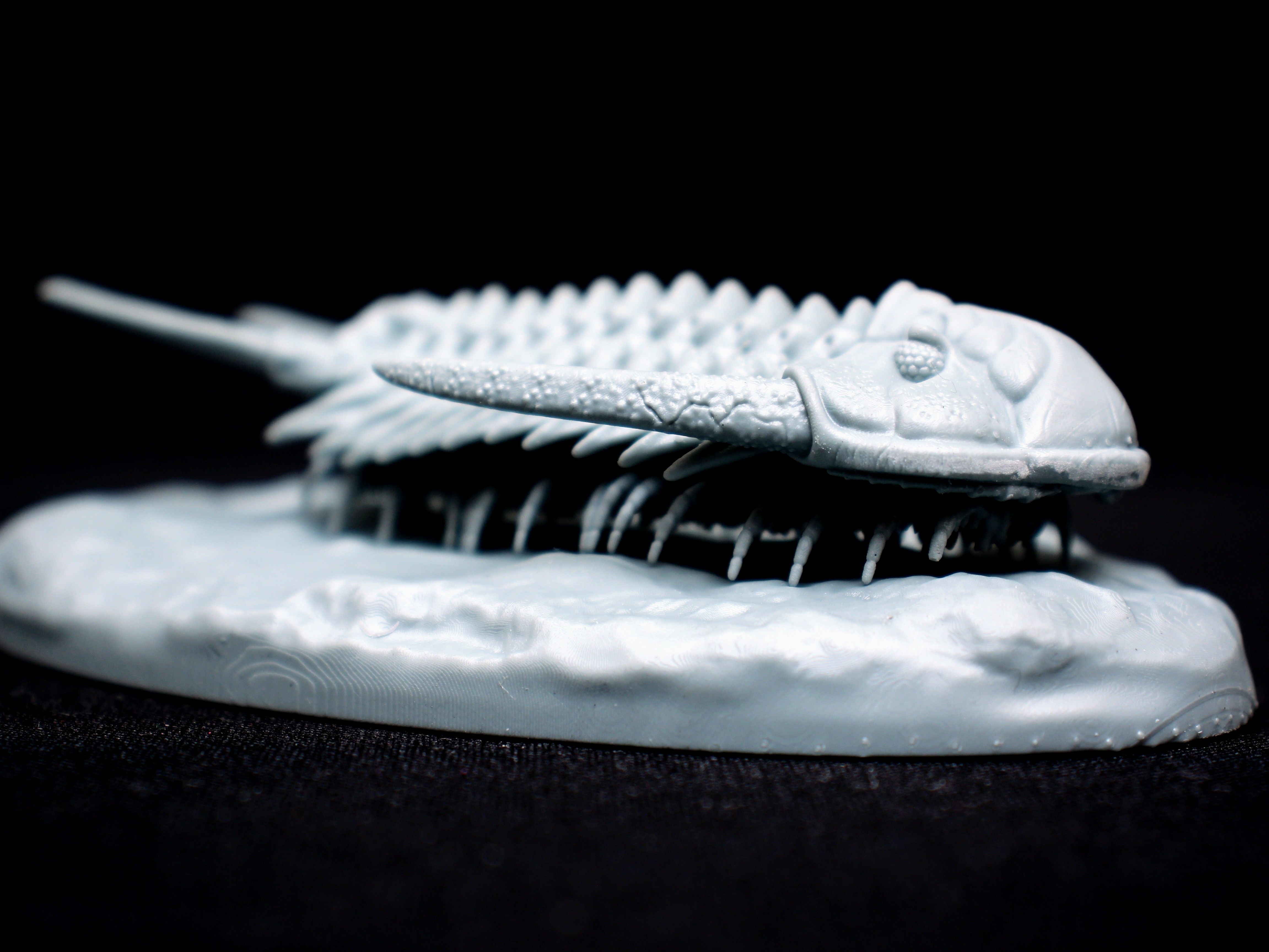 Cheirurus person holding clay trilobite 3D print model_2